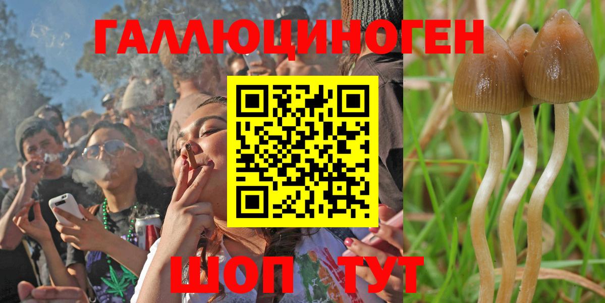 купить наркотики сайты  Псилоцибиновые грибы GOLDEN TEACHER  Вход с VPN  Ковров  Галлюциногенные грибы MAGIC MUSHROOMS 